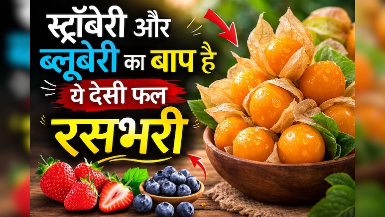 स्ट्रॉबेरी और ब्लूबेरी का बाप है ये देसी फल, फायदे जानकर आज से ही खाने लगेंगे आप