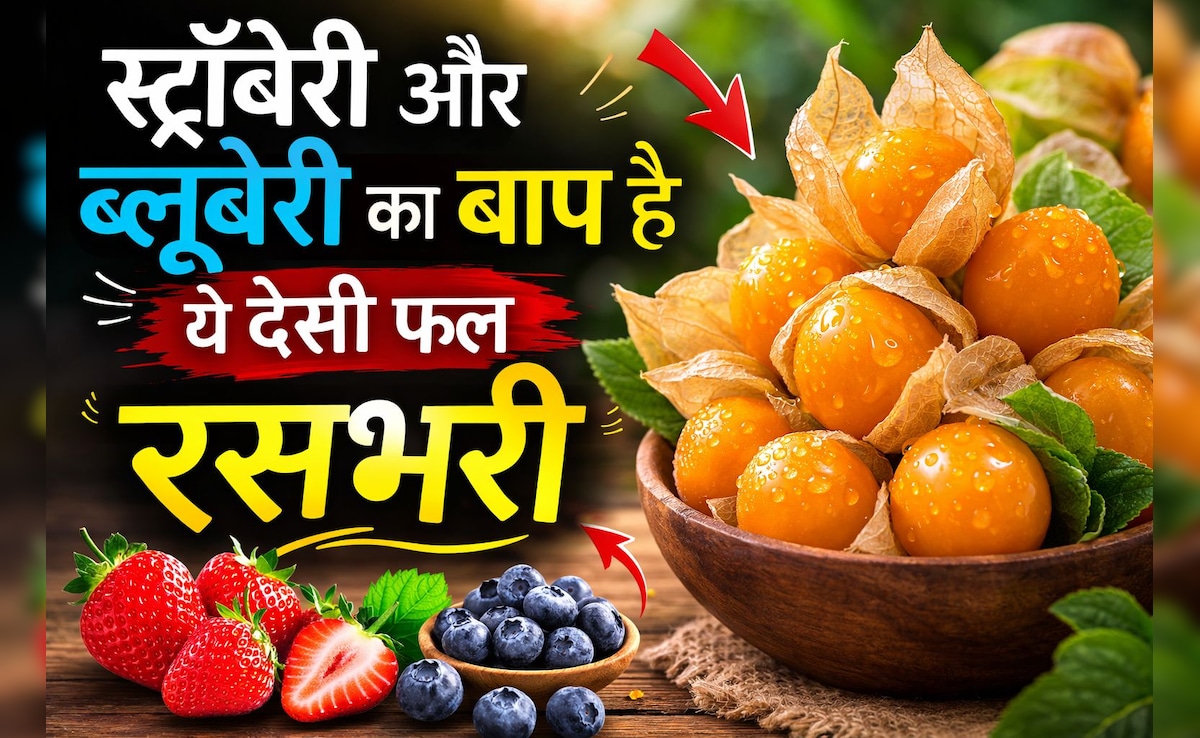 स्ट्रॉबेरी और ब्लूबेरी का बाप है ये देसी फल, फायदे जानकर आज से ही खाने लगेंगे आप
