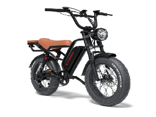 Kingbull Ranger इलेक्ट्रिक बाइक हुई लॉन्च, 750W मोटर, 130Km है रेंज, जानें कीमत