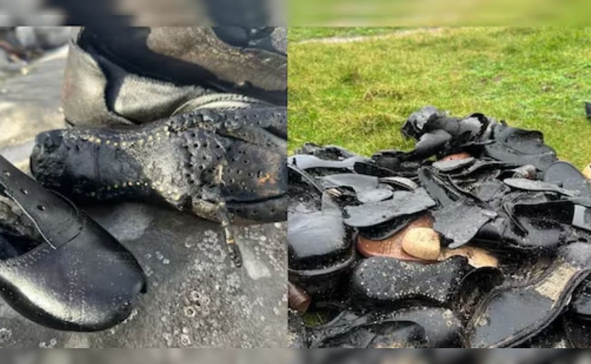 Latest and Breaking News on NDTV