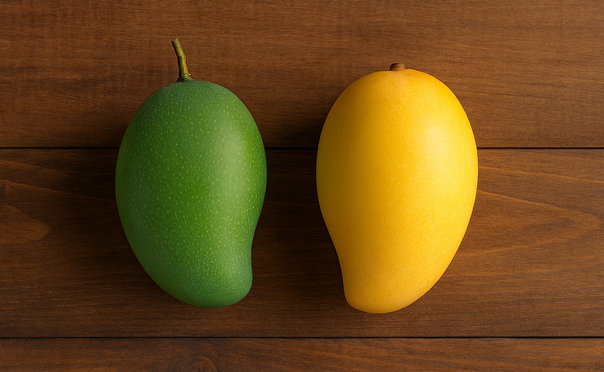 Latest and Breaking News on NDTV Latest and Breaking News on NDTV