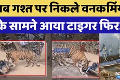 Tiger Attack: Ranthambore में गश्त पर निकले Forest Workers के सामने आया Tiger | Viral Video