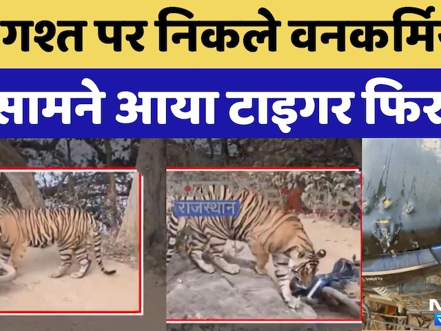 Tiger Attack: Ranthambore में गश्त पर निकले Forest Workers के सामने आया Tiger | Viral Video