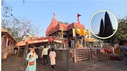 Chaitra Navratri: उज्जैन के इस मंदिर में दर्शन से मिलती है मां की विशेष कृपा, पूरी होती है मनचाही मुराद, विक्रमादित्य से जुड़ी है कथा