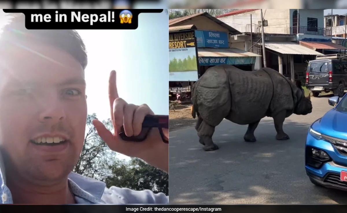 नेपाल की सड़क पर गैंडे का 'कैटवॉक', खौफ भरी खूबसूरती देख हक्का-बक्का विदेशी 'बाबू'