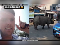 नेपाल की सड़क पर गैंडे का 'कैटवॉक', खौफ भरी खूबसूरती देख हक्का-बक्का विदेशी 'बाबू'