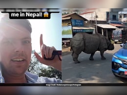 नेपाल की सड़क पर गैंडे का 'कैटवॉक', खौफ भरी खूबसूरती देख हक्का-बक्का विदेशी 'बाबू'