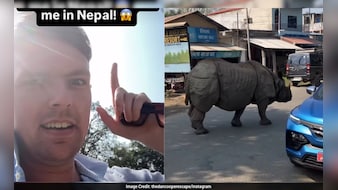 नेपाल की सड़क पर गैंडे का 'कैटवॉक', खौफ भरी खूबसूरती देख हक्का-बक्का विदेशी 'बाबू'