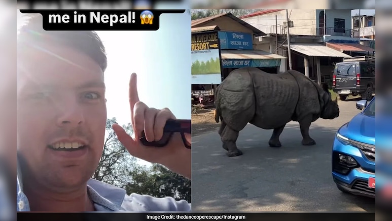 नेपाल की सड़क पर गैंडे का 'कैटवॉक', खौफ भरी खूबसूरती देख हक्का-बक्का विदेशी 'बाबू'
