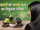 न लगानी होगी डाई और न ही महंदी, बस रोज लगाना है ये तेल, बिना किसी केमिकल के काले होंगे बाल!