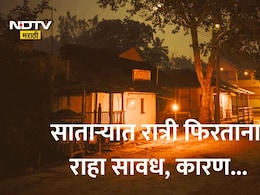 Satara News: साताऱ्यात स्थानिकांसह पर्यटकांमध्ये घबराट, ओझर्डे धबधबा परिसरातील या घटनेमुळे तुम्हीही सतर्क राहा