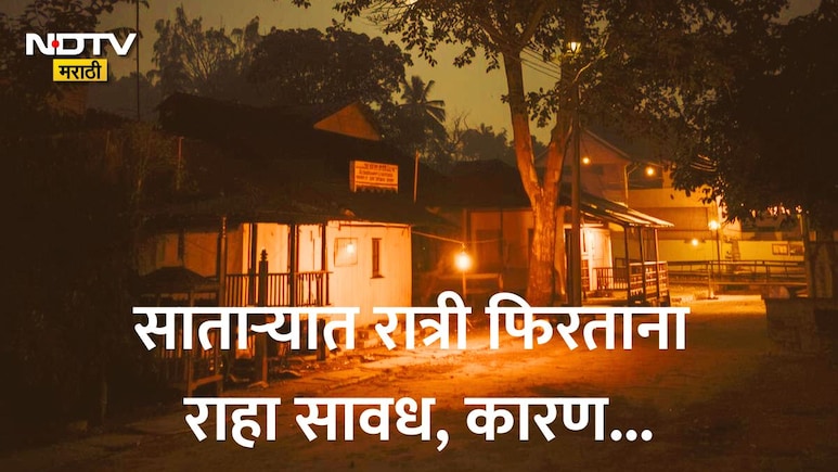 Satara News: साताऱ्यात स्थानिकांसह पर्यटकांमध्ये घबराट, ओझर्डे धबधबा परिसरातील या घटनेमुळे तुम्हीही सतर्क राहा