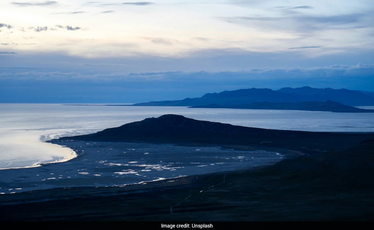 The Art of Baking: From Classic Bread to Artisan Pastries