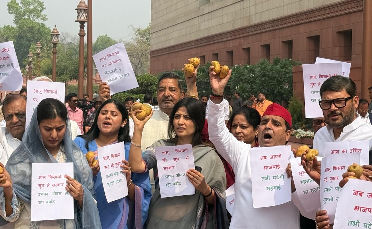 संसद के गेट पर हाथ में आलू लहराते दिखे डिंपल यादव, इकरा हसन और धर्मेंद्र यादव, जानें- क्या थीं मागें