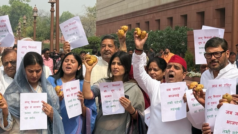 संसद के गेट पर हाथ में आलू लहराते दिखे डिंपल यादव, इकरा हसन और धर्मेंद्र यादव, जानें- क्या थीं मागें