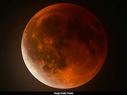 Study Reveals Fungi Can Survive Mars-Like Conditions Despite Strict Spacecraft Cleaning