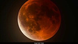 Study Reveals Fungi Can Survive Mars-Like Conditions Despite Strict Spacecraft Cleaning