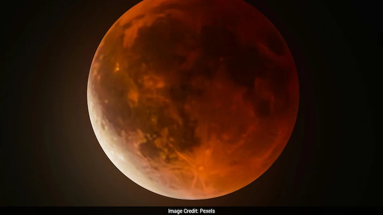 Study Reveals Fungi Can Survive Mars-Like Conditions Despite Strict Spacecraft Cleaning