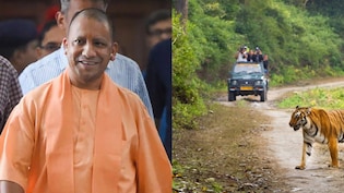 लखीमपुर खीरी में बनेगा जिम कॉर्बेट जैसा पार्क, CM योगी का ये है प्लान