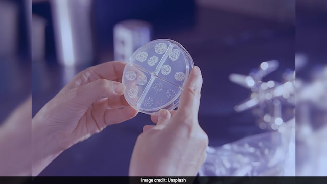 ICMR Drone Project Cuts TB Diagnosis Time From 15 To 5 Days, Reduces Patient Costs