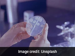 'White Plague': One Of Humanity's Deadliest Killers Resurging In US