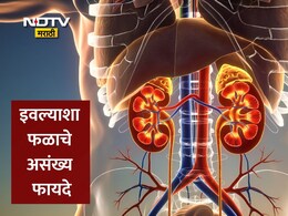 Sapota Benefits: फक्त चवीलाच नाही, तर 'हे' स्वस्त फळ हृदयासाठी आहे वरदान; आयुष मंत्रालयानेही दिला सल्ला