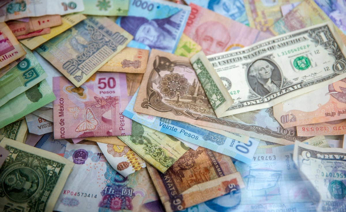 Latest and Breaking News on NDTV