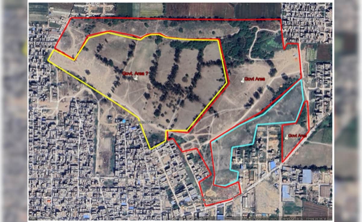 The blue line highlights a 10-acre lake-remnant depression, the red line shows land currently in the public domain, and the yellow line outlines public land proposed for establishment, together covering 24 hectares.