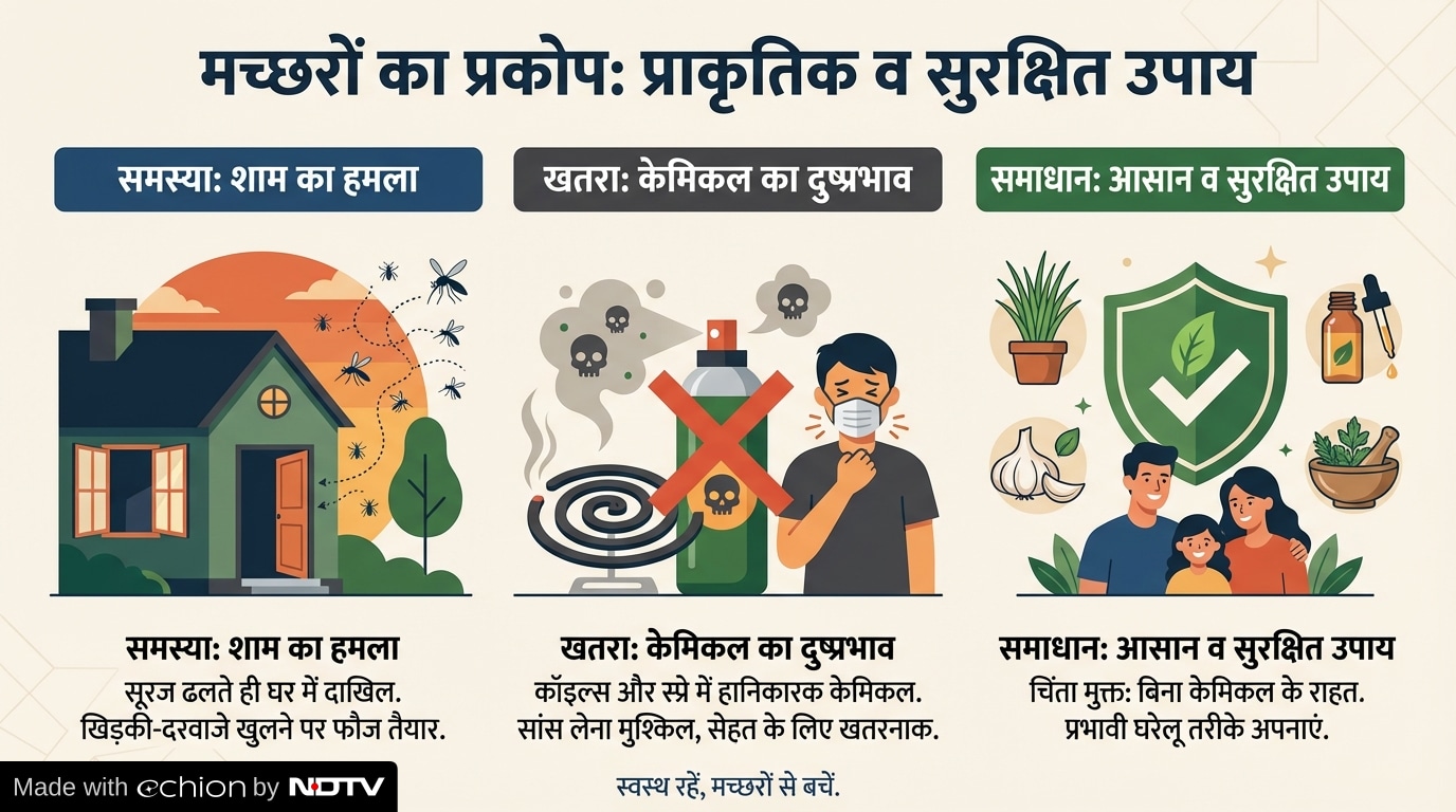 Latest and Breaking News on NDTV