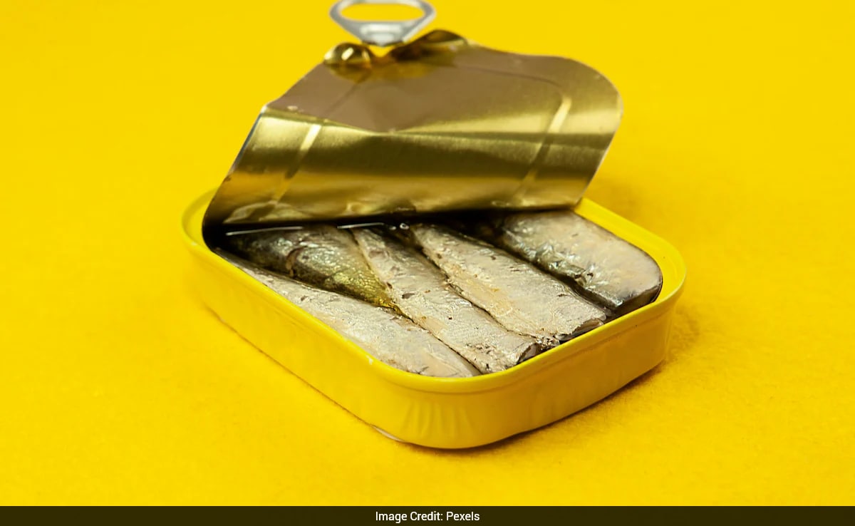 Decades-Old Salmon Cans Uncover Unexpected Secrets Of Ocean Life