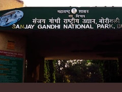 Mumbai News : संजय गांधी उद्यानाजवळ एकटं फिरू नका, प्रशासनाचा इशारा; स्थानिकांनी काळजी घ्या!