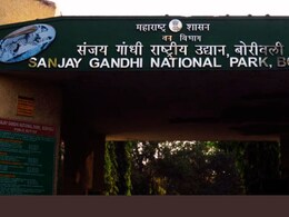 Mumbai News : संजय गांधी उद्यानाजवळ एकटं फिरू नका, प्रशासनाचा इशारा; स्थानिकांनी काळजी घ्या!