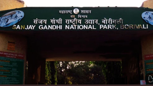 Mumbai News : संजय गांधी उद्यानाजवळ एकटं फिरू नका, प्रशासनाचा इशारा; स्थानिकांनी काळजी घ्या!