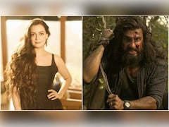 "We're Celebrating Jingoism": Dia Mirza On IC 814, Dhurandhar 2 Comparisons