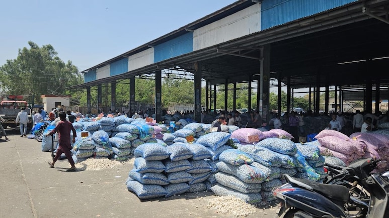 Rajasthan: बारां का लहसुन बनेगा ग्लोबल ब्रांड, GI टैग से किसानों की खुलेगी किस्मत, मिलेगी अंतरराष्ट्रीय पहचान