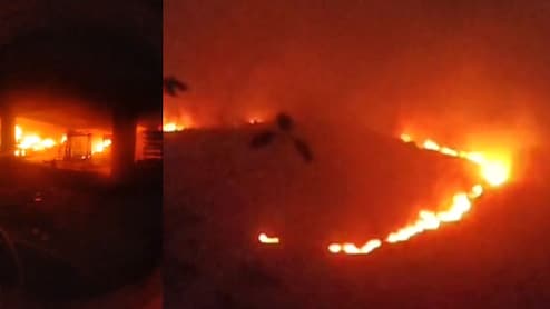 उज्जैन के गोदाम में लगी भीषण आग, लाखों का माल जलकर खाक, बड़वानी के मलगांव जंगल में भी धधकी आग