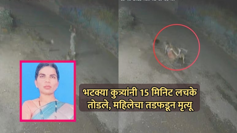 VIDEO: किंकाळ्या, धडपड अन् वेदना; भटक्या कुत्र्यांनी 15 मिनिट लचके तोडले, महिलेचा तडफडून जागीच मृत्यू