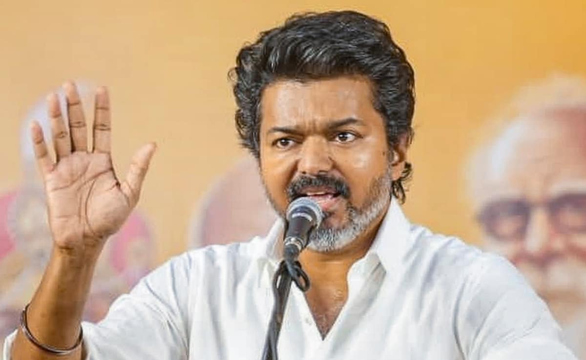 Actor Vijay's TVK Goes Solo In Puducherry Polls, Releases List Of 30 Candidates