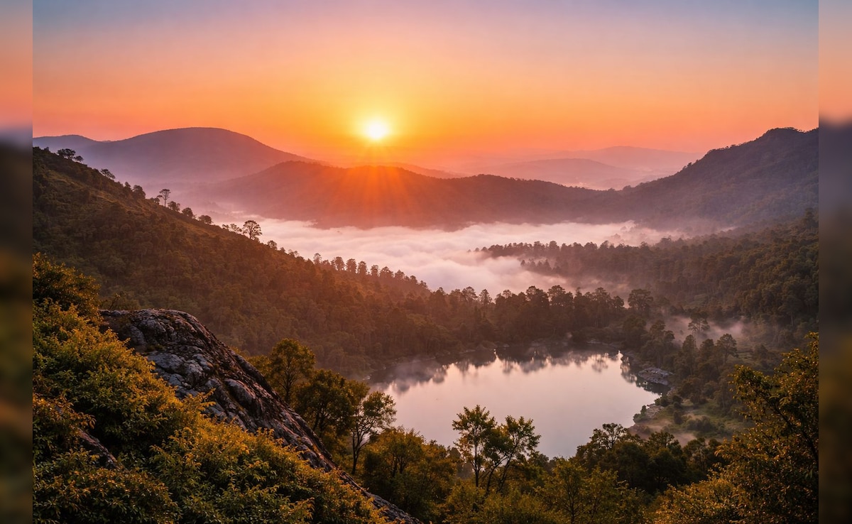 Latest and Breaking News on NDTV