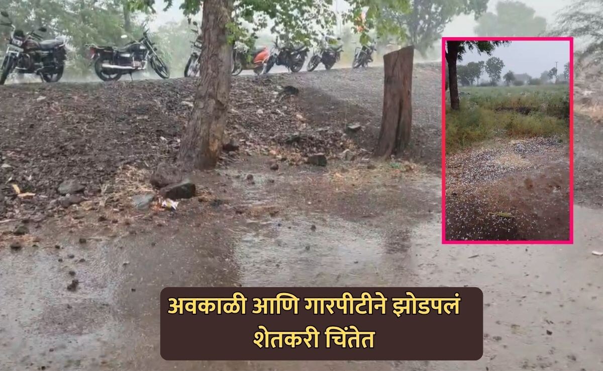 Maharashtra Unseasonal Rain and Hailstorm 2026 Heavy Crop Damage in ...