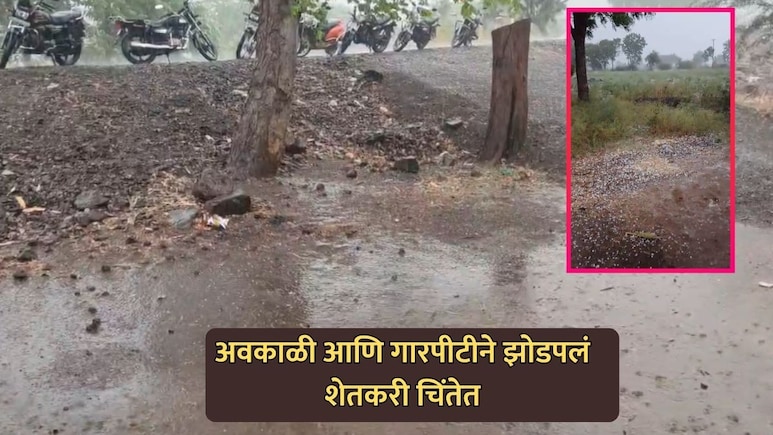 Maharashtra Unseasonal Rain: अवकाळी पाऊस आणि गारपिटीने झोडपले; पिकांचं मोठं नुकसान, शेतकरी हवालदिल