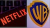 Netflix Co-CEO Explains Why Streaming Giant Backed Out Of Warner Bros Fight