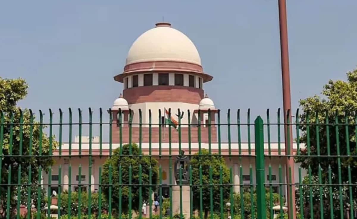 1 करोड़ की फीस क्यों? समाजसेवा तो मुफ्त होती है... सुप्रीम कोर्ट ने वकील को दिखाया आईना