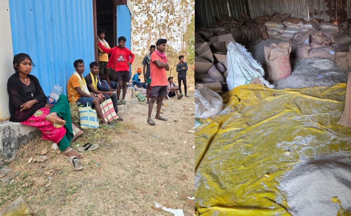 The Art of Baking: From Classic Bread to Artisan Pastries