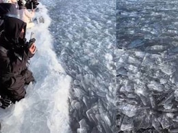 Watch: This Real Lake In China Flowing With Shiny Ice Shards Looks AI-Generated