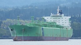 2 India-Bound LPG Tankers Cross Strait Of Hormuz