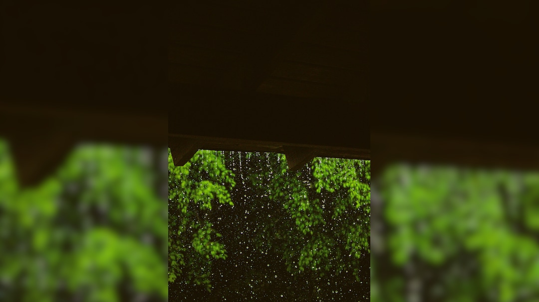 Delhi: Light Rains Bring Relief To City On Sunday Morning, AQI 'Moderate'