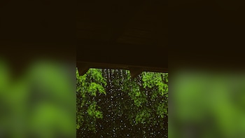 Delhi: Light Rains Bring Relief To City On Sunday Morning, AQI 'Moderate'