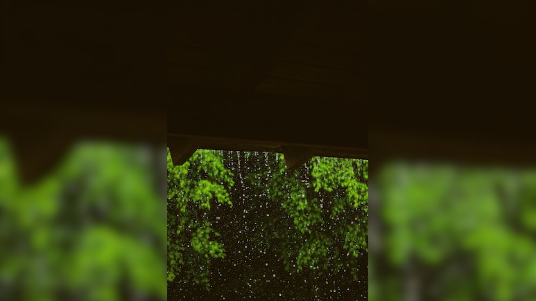 Delhi: Light Rains Bring Relief To City On Sunday Morning, AQI 'Moderate'