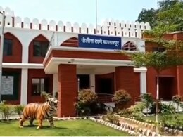 Crime News: आईच्या कुशीतून मुलाला पळवलं, 3 लाखात विकलं, 20 तासांची शोधमोहिम अन् थेट...